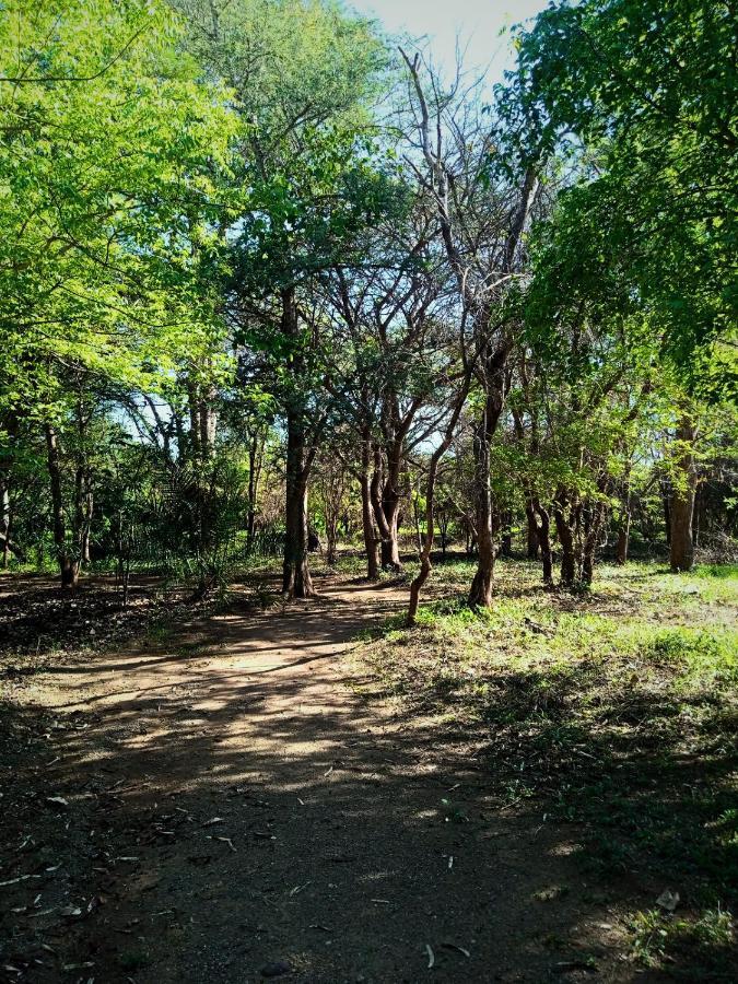 Munga Eco-Lodge Livingstone Esterno foto